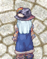 Costume Hat of Fortune3.png