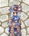 Costume Hat of Fortune1.png