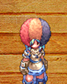 Costume Afro Wig 1.png