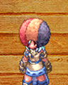 Costume Afro Wig 2.png