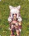 Costume Long Haired Cat Ears1.png