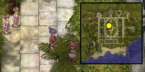 Brasilis Dungeon Entrance Quest Step 01.jpg