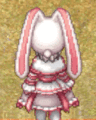 Costume Hopping Rabbit2.gif
