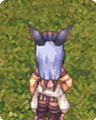 Costume Isabella Blue Ears3.png