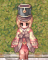 Costume Guard´s Hat 1.png